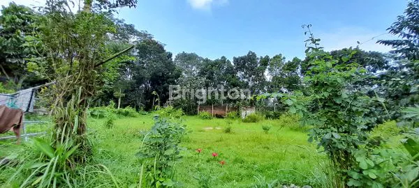 image DIJUAL TANAH DEKAT EXIT TOL MADYOPURO (1)