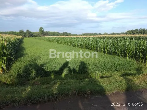 INVESTASI MASA DEPAN