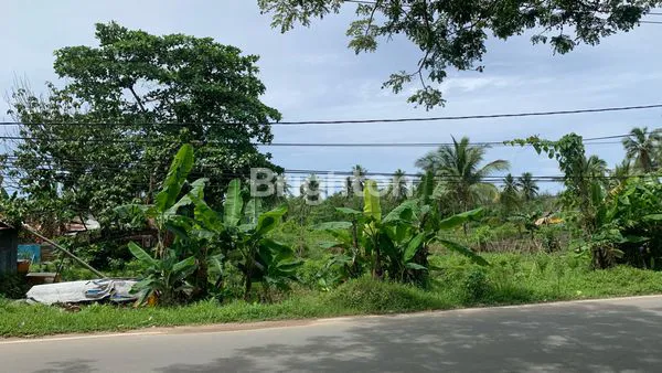 image TANAH LUAS 5880M² DEKAT PANTAI LAMARU (2)