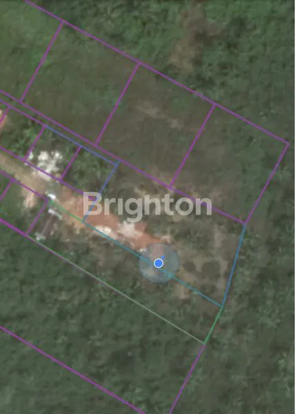 image TANAH LUAS 5880M² DEKAT PANTAI LAMARU (5)