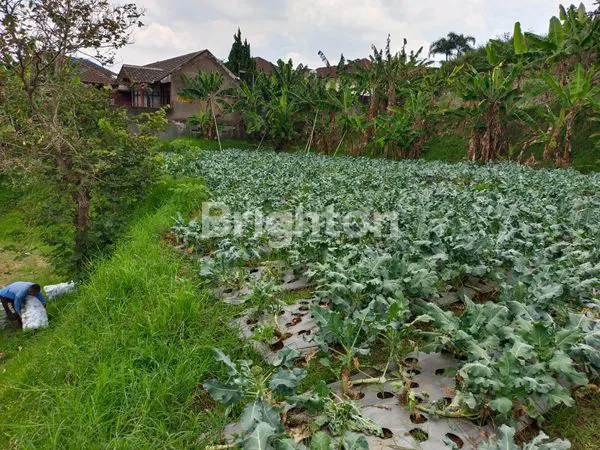 image TANAH MATANG DATAR - SIAP BANGUN WING I SETIABUDI REGENCY (7)