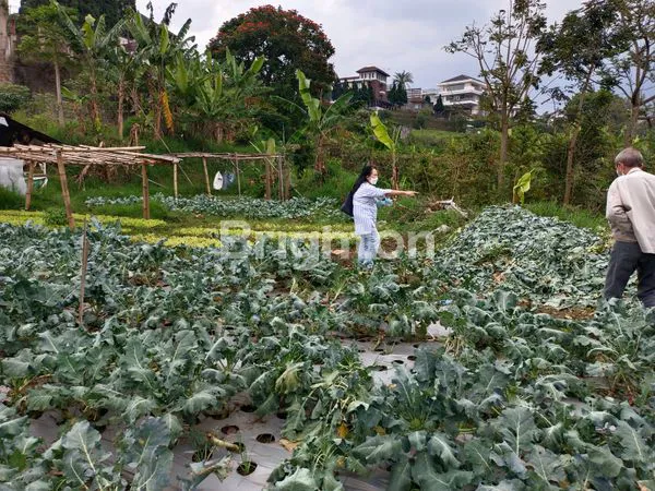 image TANAH MATANG DATAR - SIAP BANGUN WING I SETIABUDI REGENCY (4)