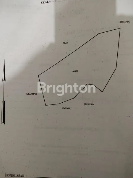 image LAHAN KEBUN DAERAH WONOSALAM - JOMBANG (3)