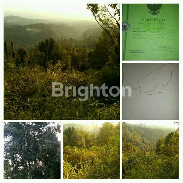 image LAHAN KEBUN DAERAH WONOSALAM - JOMBANG (1)