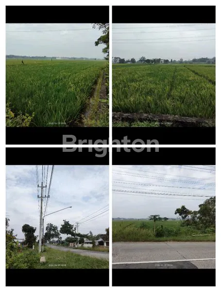 image TANAH KEDUNGWINONG NGUTER (1)