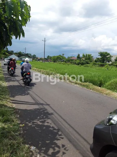 image TANAH STRATEGIS BUAT USAHA (5)