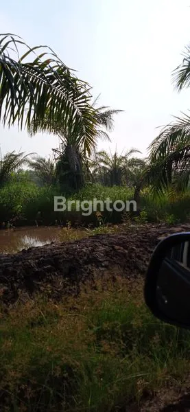 image TANAH LOKASI SEBELAH PABRIK MINYAK SAWIT (2)