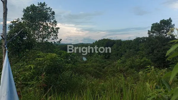 image LAHAN BERSERTIFIKAT DI TEPI SUNGAI MANGGAR,BALIKPAPAN (4)