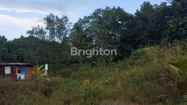 image LAHAN BERSERTIFIKAT DI TEPI SUNGAI MANGGAR,BALIKPAPAN (8)