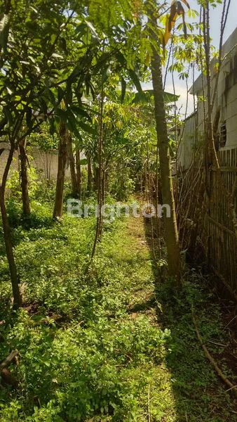 image TANAH SIAP BANGUN BANDUNG SELATAN (1)