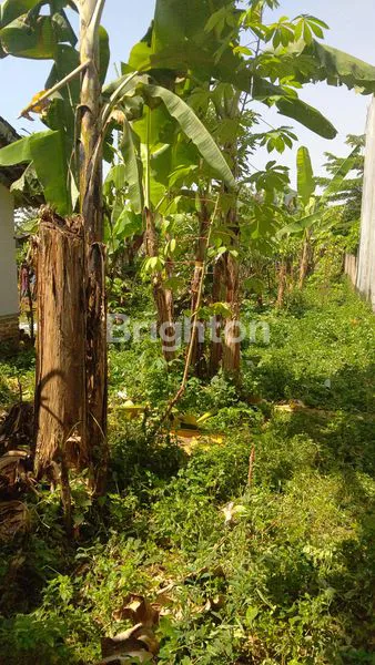 image TANAH SIAP BANGUN BANDUNG SELATAN (2)