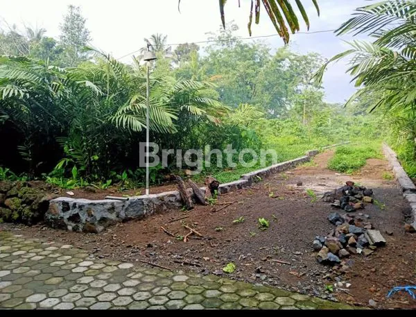 TANAH DI DAERAH TEMPEL SLEMAN
