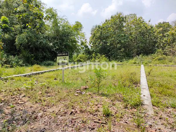 TANAH KAVLING TIDAK JAUH DARI JALAN RAYA WATES KULON PROGO JOGJA.