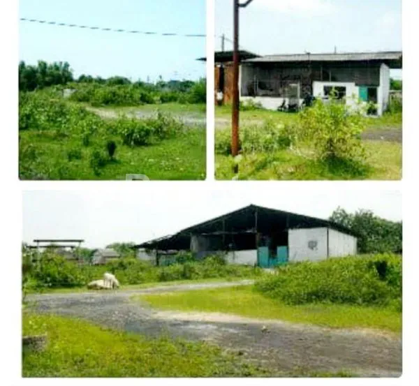 image TANAH + GUDANG NOL JALAN PROVINSI  TUBAN , JAWA TIMUR (1)