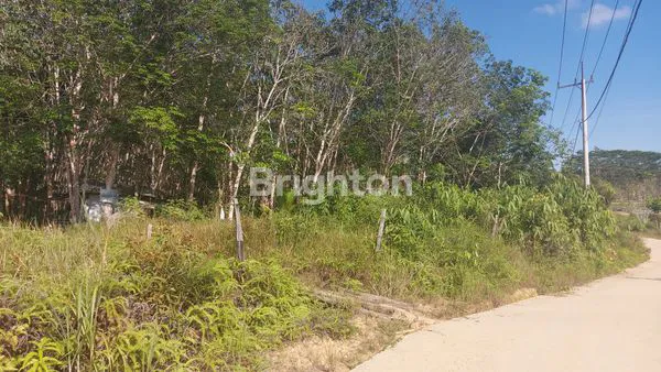 image TANAH LUAS BERSERTIFIKAT DI LAMARU, BALIKPAPAN (5)