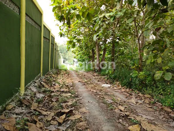 TANAH PEKARANGAN. MURAH.BISA UNTUK KAVLING PERUMAHAN DAN BISA UNTUK PABRIK