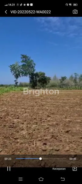 image DIJUAL TANAH SAWAH DI BANYUWANGI (3)