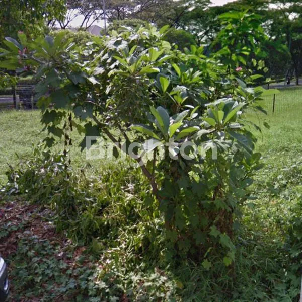 image  TANAH CITRALAND ALAM HIJAU  (2)