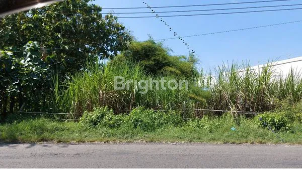image JUAL TANAH AREA INDUSTRI JOMBANG (1)