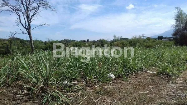 image TANAH DI BELAKANG RS BABTIS BATU (1)