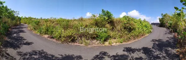 image TANAH DI JALAN GAYANG SARI KUTA SELATAN (4)