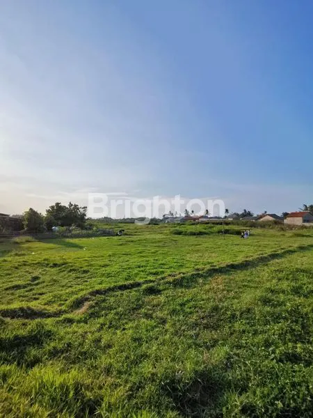 image INVESTASI AUTO CUAN TANAH LUAS SAMPING BANDARA (1)