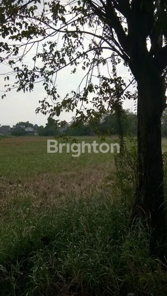 image TANAH LOKASI PREMIUM SIDOARJO (1)