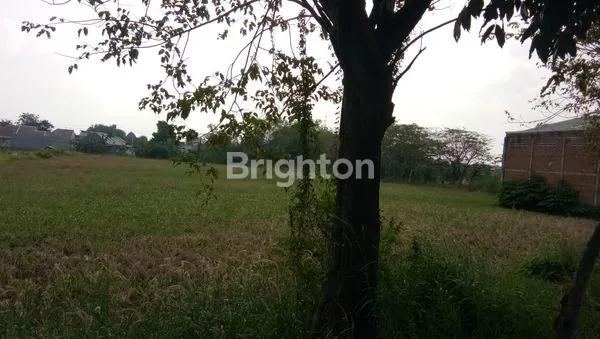 image TANAH LOKASI PREMIUM SIDOARJO (3)