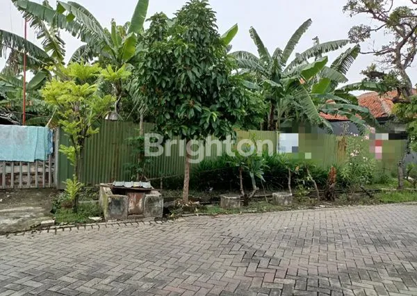 image TANAH KUTISARI SELATAN (1)