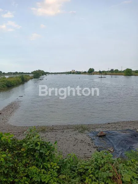 image TAMBAK BANJAR KEMUNING SEDATI SIDOARJO (1)