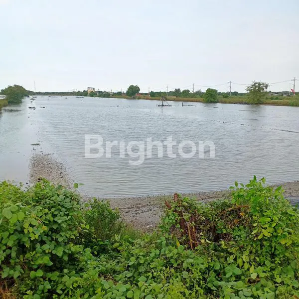 image TAMBAK BANJAR KEMUNING SEDATI SIDOARJO (2)