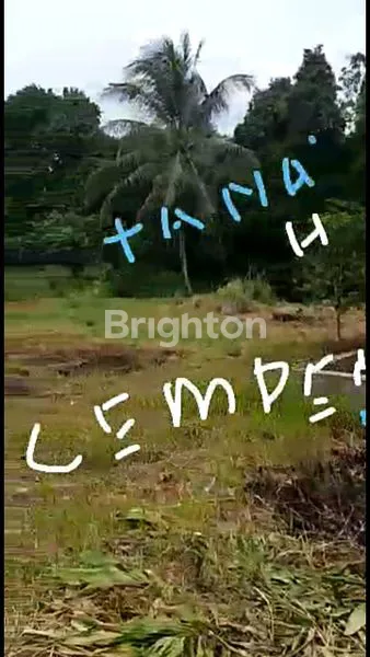 image TANAH STRATEGIS DI CIAMPEA BOGOR (7)