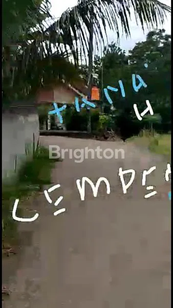 image TANAH STRATEGIS DI CIAMPEA BOGOR (2)