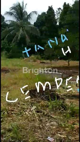 image TANAH STRATEGIS DI CIAMPEA BOGOR (6)