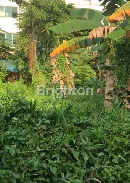 image GOLDENLAND HOUSING 3 RUKO GANDENG KOSONG (2)