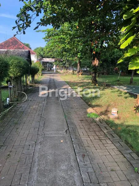 image RESTORAN DAN RUMAH MAKAN TENGGER (2)