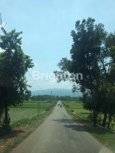 image TANAH LUAS LOKASI SAMPING PERUMAHAN (1)