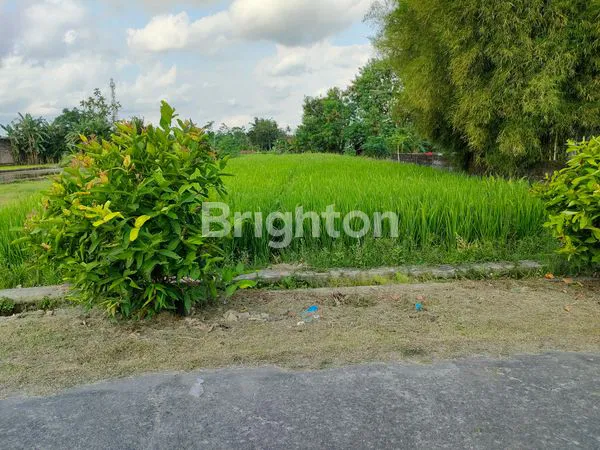 image SAWAH DALAM LINGKUNGAN PERKAMPUNGAN YANG BERSIH DAN ASRI. DEKAT DENGAN JALAN PENGHUBUNG ANTAR KECAMATAN. (2)