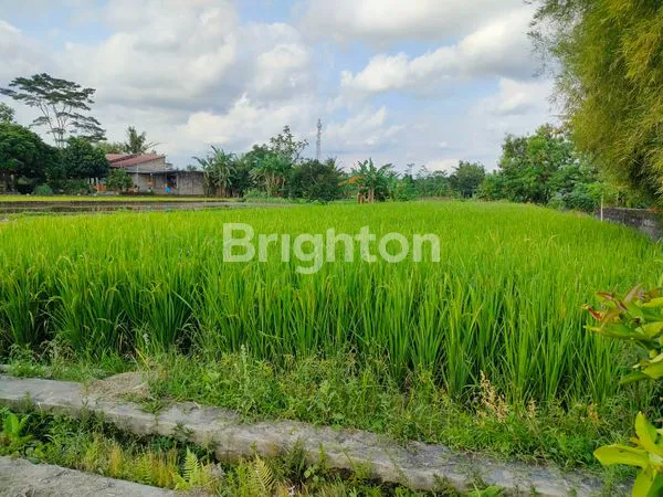 image SAWAH DALAM LINGKUNGAN PERKAMPUNGAN YANG BERSIH DAN ASRI. DEKAT DENGAN JALAN PENGHUBUNG ANTAR KECAMATAN. (4)