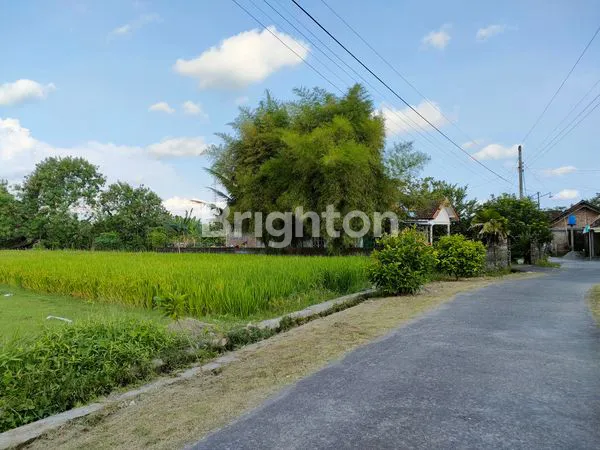 image SAWAH DALAM LINGKUNGAN PERKAMPUNGAN YANG BERSIH DAN ASRI. DEKAT DENGAN JALAN PENGHUBUNG ANTAR KECAMATAN. (1)