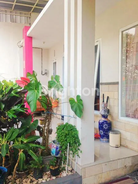 image RUMAH MODERN MINIMALIS BAGUS SIAP HUNI DI SULFAT PANDANWANGI KOTA MALANG (4)