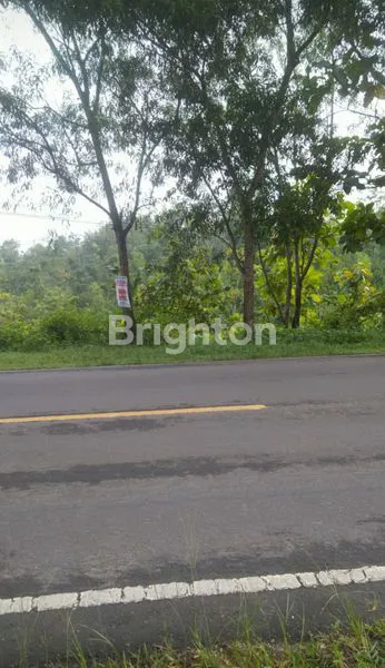 image TANAH LUAS PINGGIR JALAN BESAR WONOGIRI (1)