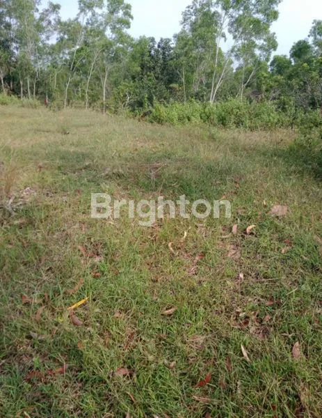 image TANAH AREA GIRIWOYO WONOGIRI (1)