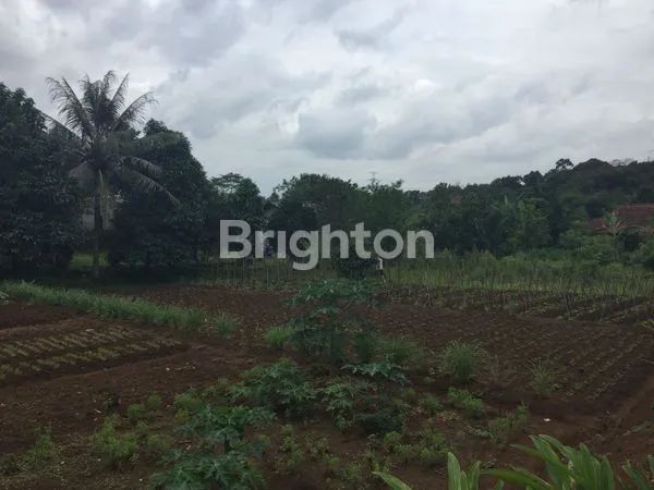 image TANAH LUAS DI SAWANGAN COCOK UNTUK HUNIAN DAN PERUMAHAN (2)