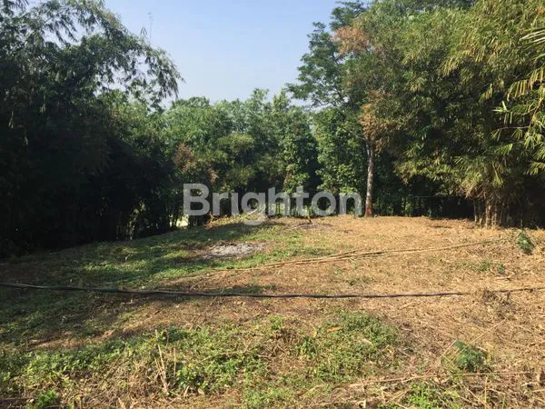 image TANAH LUAS DI CIGOMBONG COCOK UNTUK DIBANGUN PERUMAHAN (3)