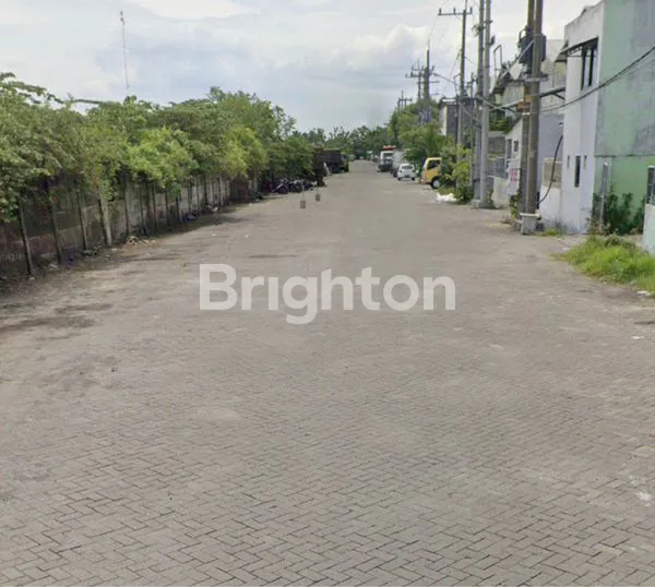 image MEIKO ABADI  (1)