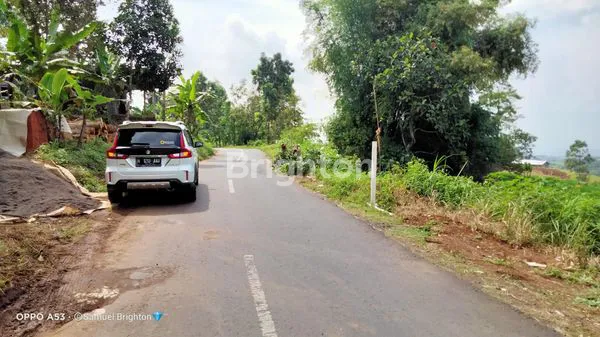 image GRATIS POHON DURIAN MASIH PRODUKTIF! LAHAN JUMBO DI TRAWAS, PANDAAN (2)