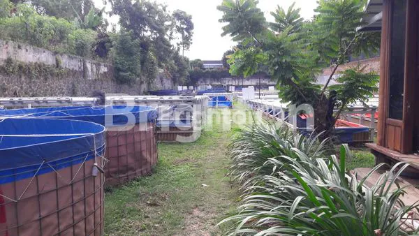 image RUMAH VILLA STRATEGIS SANGAT COCOK BUAT SEGALA USAHA KARNA BERADA DI NOLL JALAN RAYA  JANTUNG KOTA WISATA BATU (4)