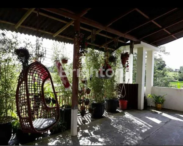 image VILLA SEJUK DI TOMOHON (3)