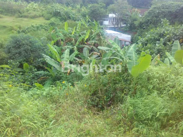 image TANAH  STRATEGIS  NOL  JALAN PROVINSI (3)